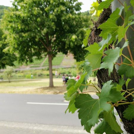 Ferienwohnung Moselblick 布鲁蒂凡科 外观 照片