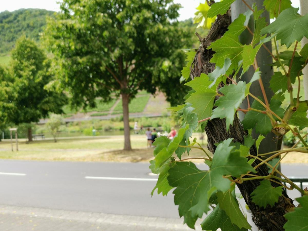 Ferienwohnung Moselblick 布鲁蒂凡科 外观 照片