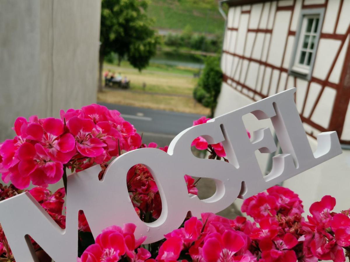 Ferienwohnung Moselblick 布鲁蒂凡科 外观 照片